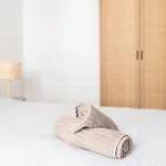 Le Boheme - T2 Centre Clim Parking * Albi