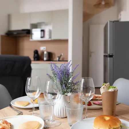 Le Boheme - T2 Centre Clim Parking